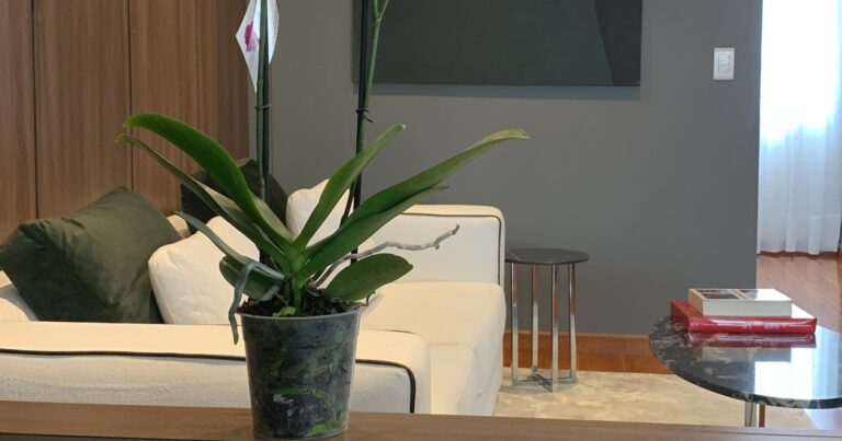 Recepción de la firma Juan Antonio Matiz, abogados del proceso penal en Colombia